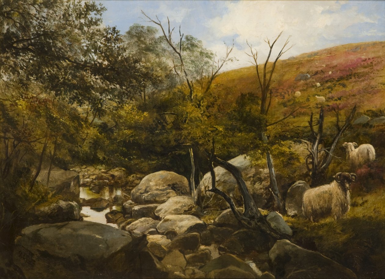 En el Black Burn, cerca de Rothbury de Robinson Elliott