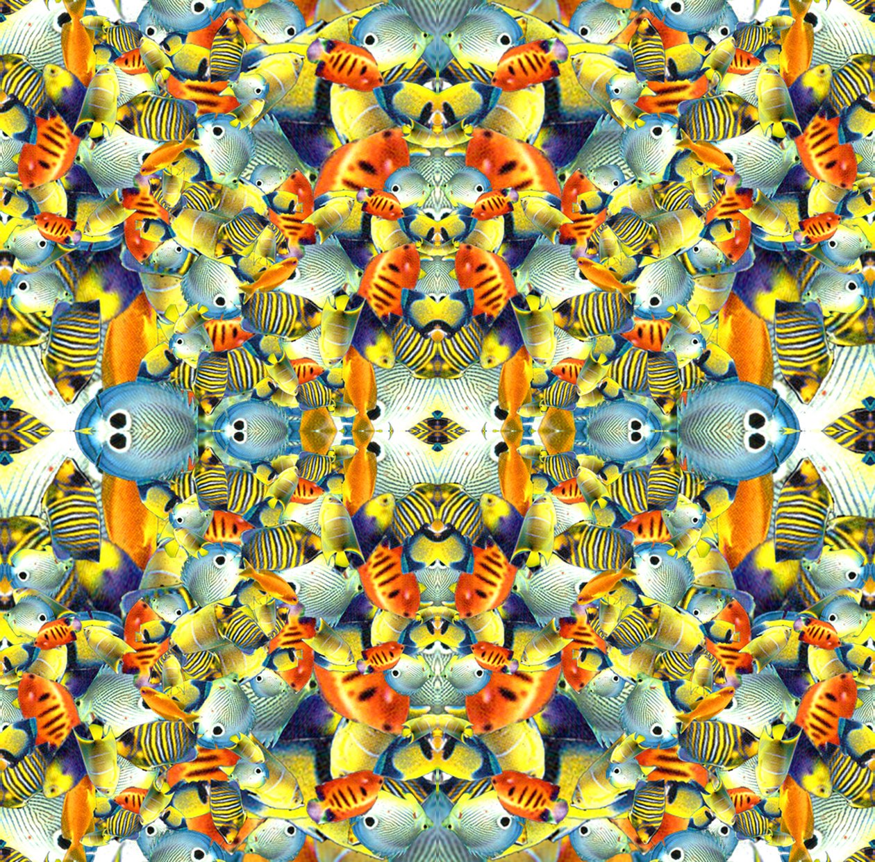 Azulejo de peces de caleidoscopio de Robyn Parker