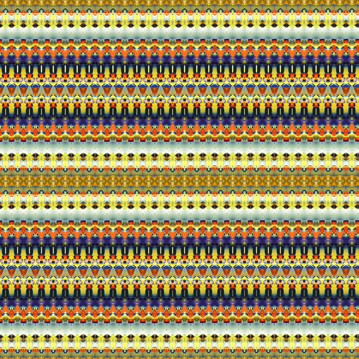 Franja Naranja Tribal de Robyn Parker