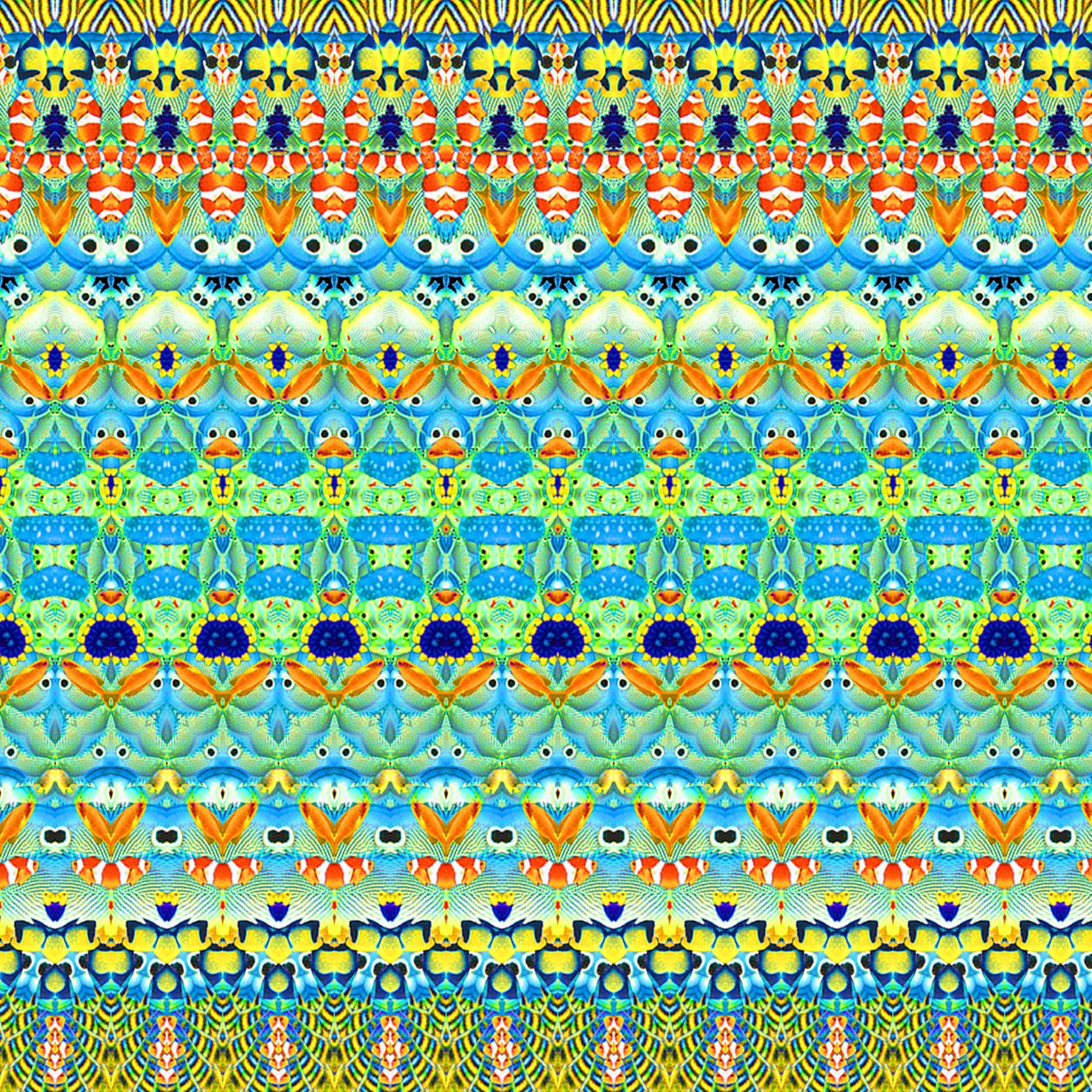 Peces tropicales rayados de Robyn Parker