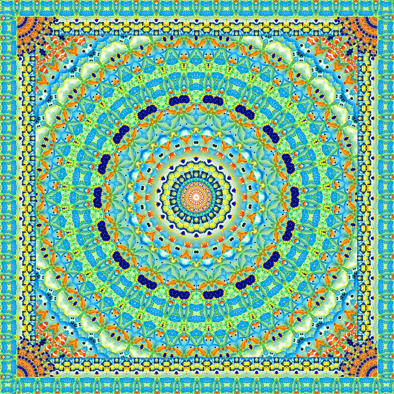 Azulejo de rueda de peces tropicales de Robyn Parker