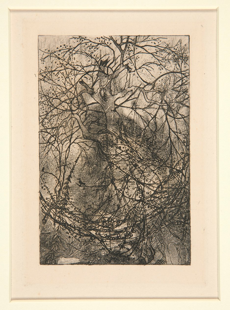 Sucursales de Rodolphe Bresdin
