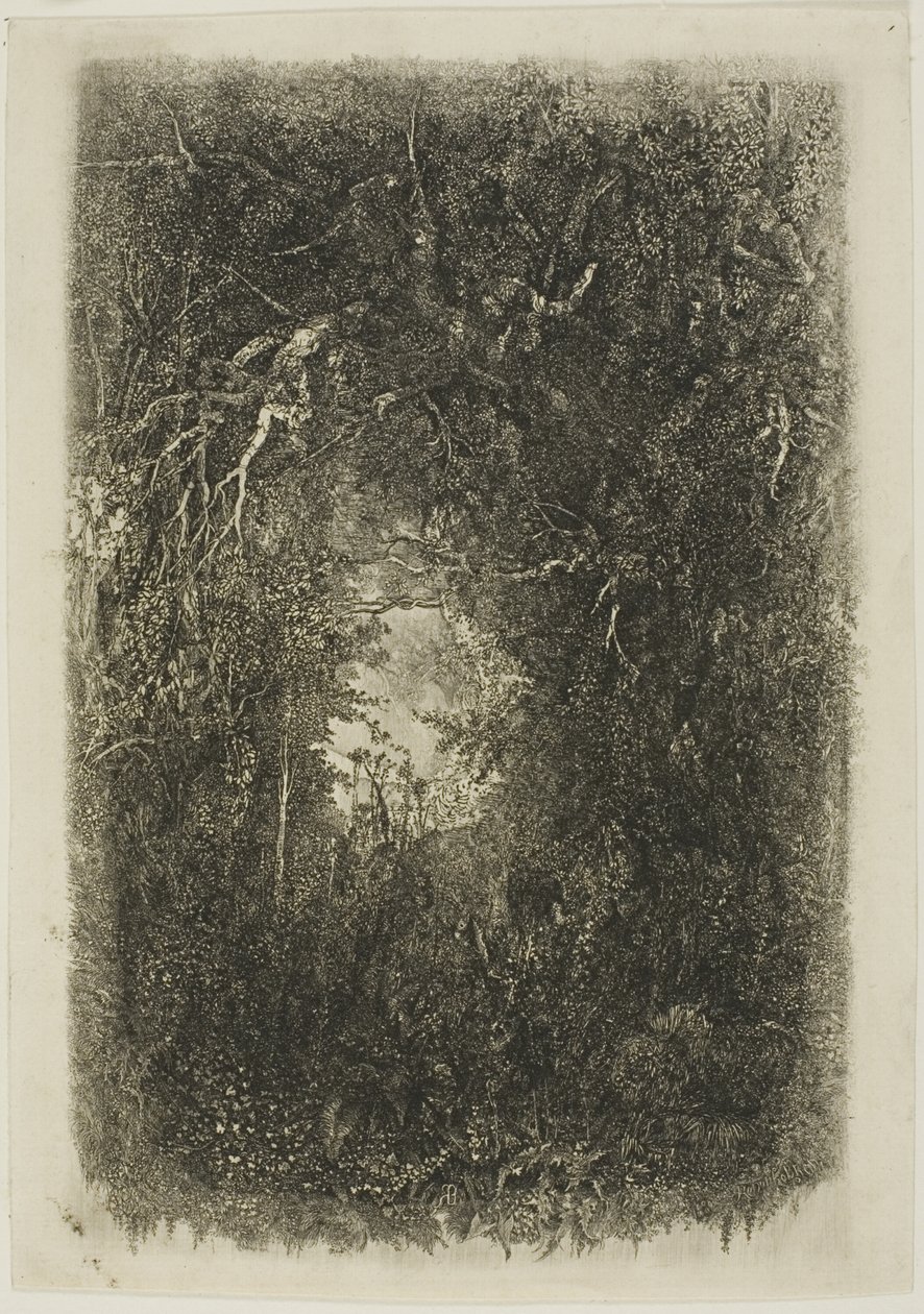 Despeje en el Bosque de Rodolphe Bresdin