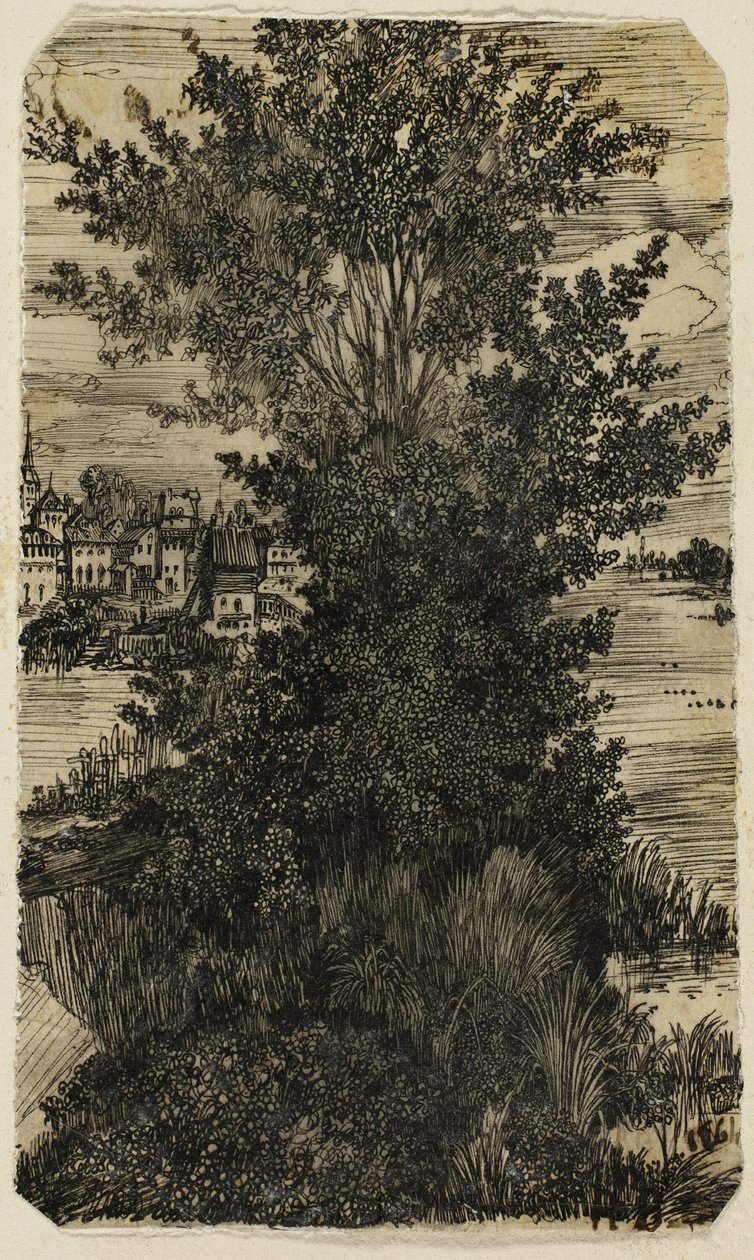 Grupo de árboles con un pueblo en la distancia de Rodolphe Bresdin