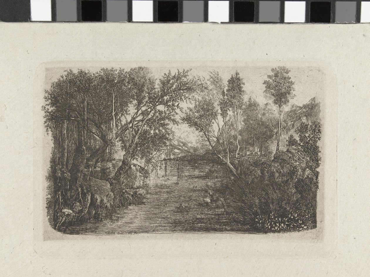 Paisaje con arroyo y árboles en las orillas
El curso de agua de Rodolphe Bresdin
