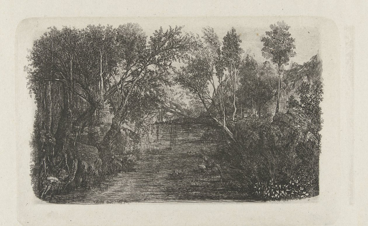 Paisaje con arroyo y árboles en las orillas
El curso de agua de Rodolphe Bresdin