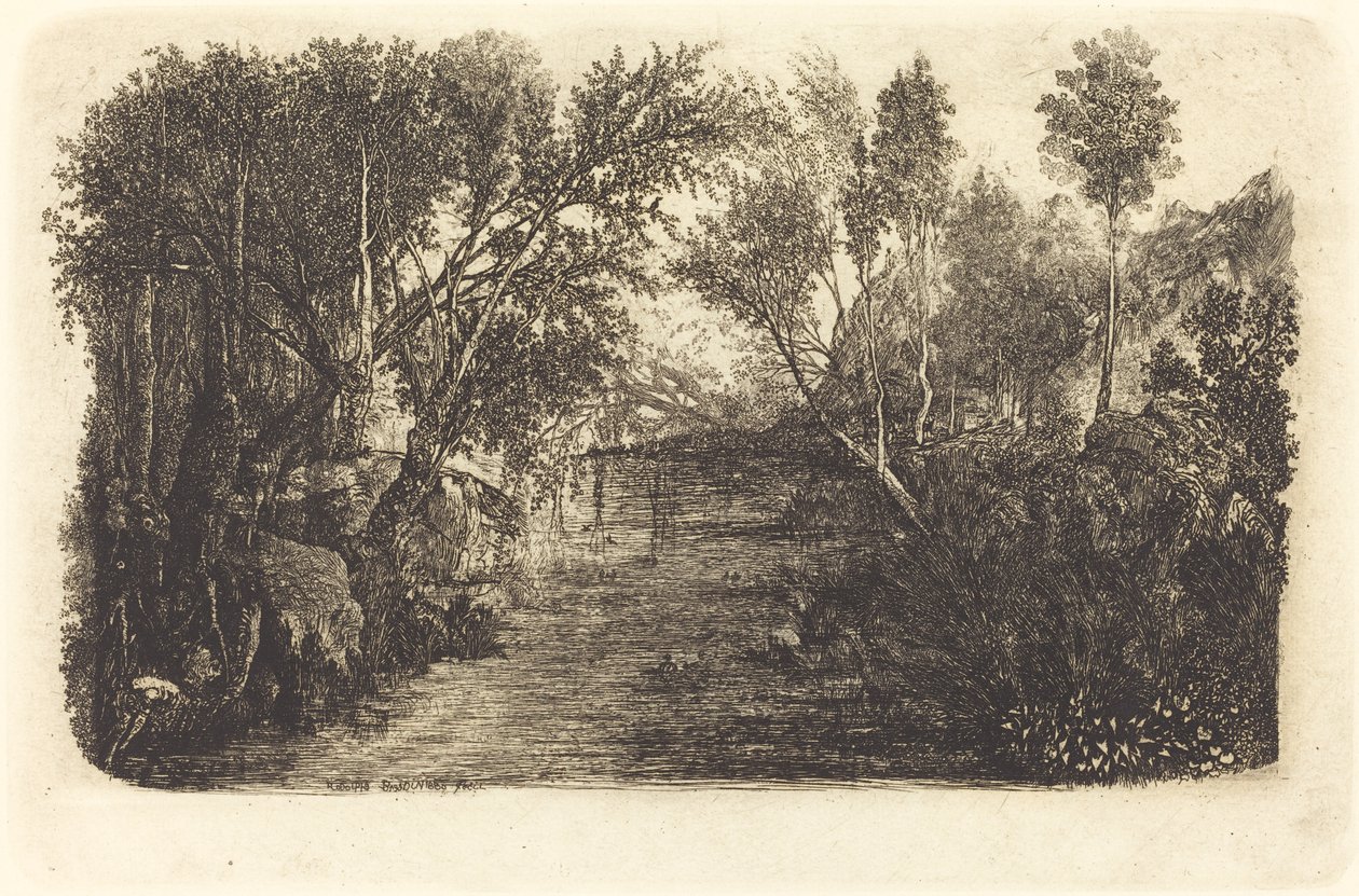El curso del agua de Rodolphe Bresdin