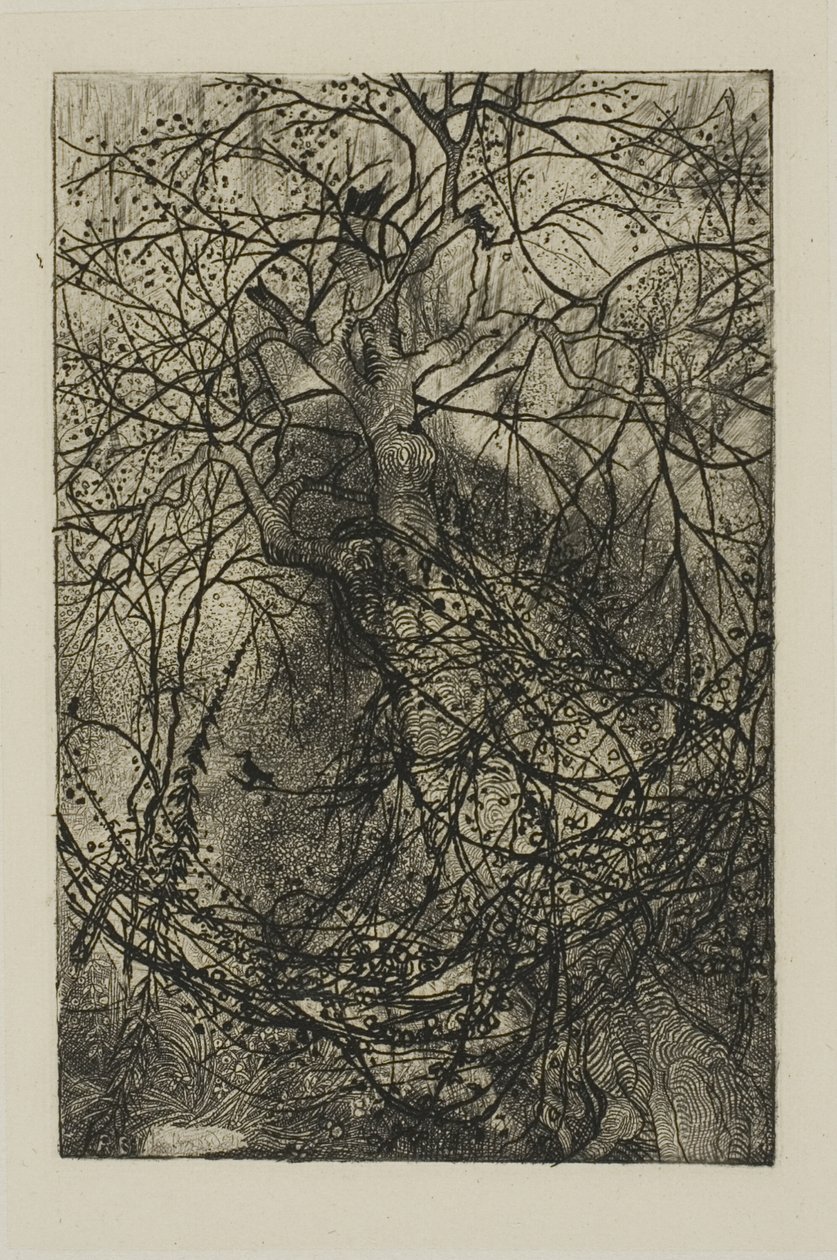 Ramas de Árboles de Rodolphe Bresdin