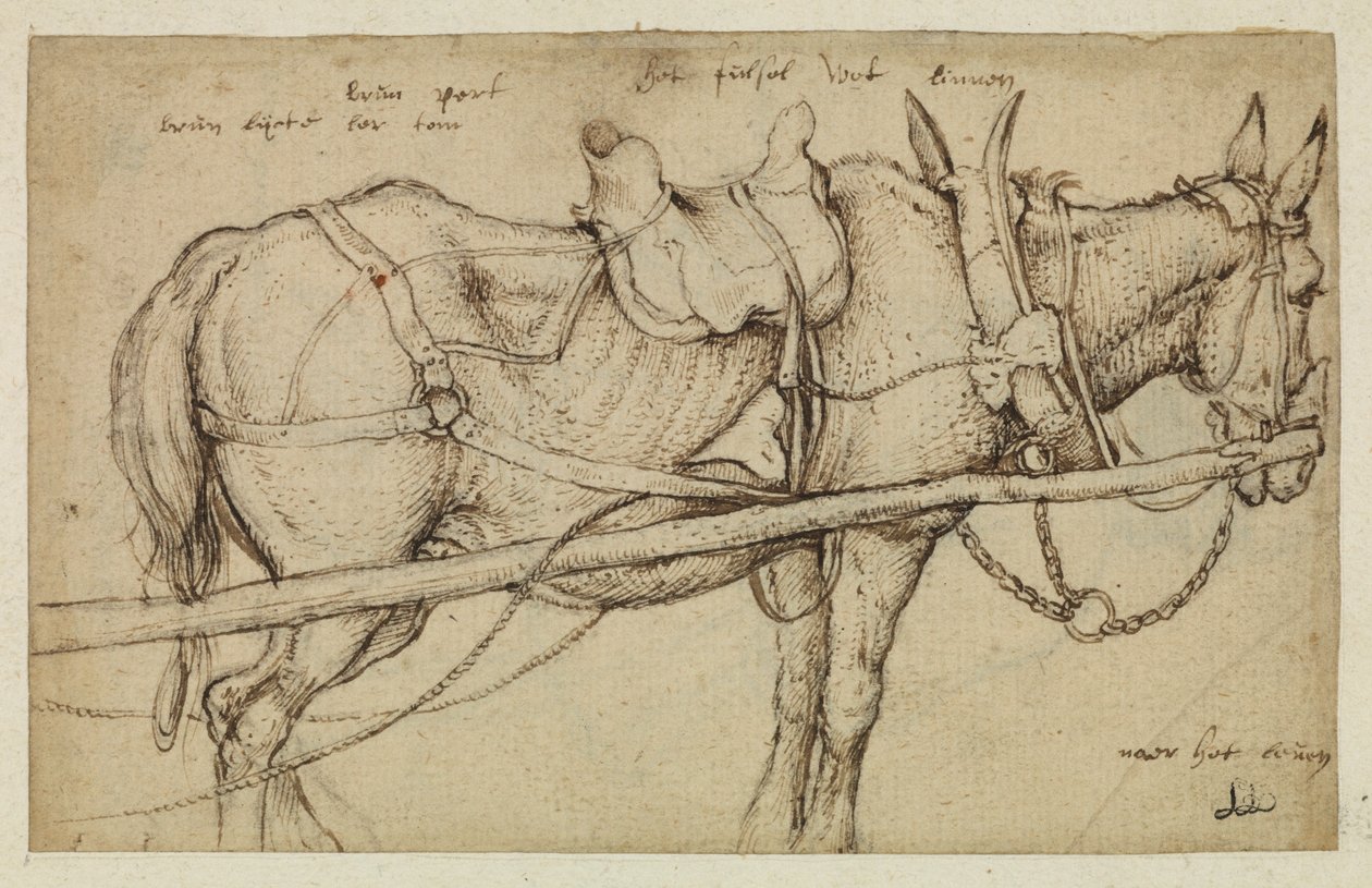 Mula con arnés de Roelandt Jacobsz. Savery