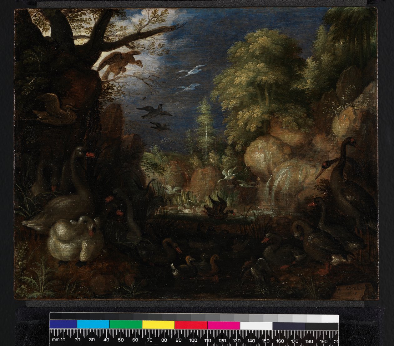 La creación de las aves, 1619 de Roelandt Jacobsz. Savery