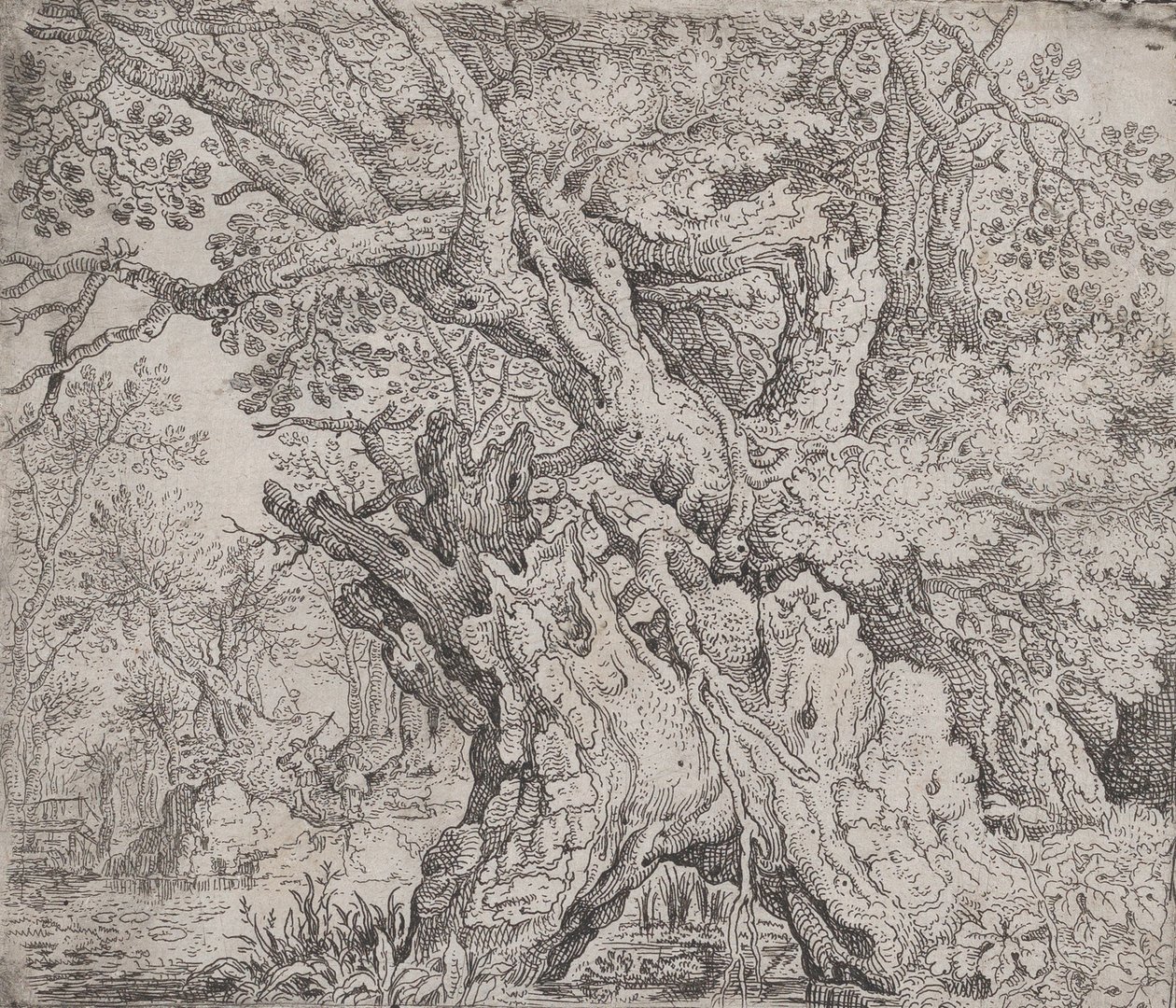 Árbol retorcido de Roelandt Savery