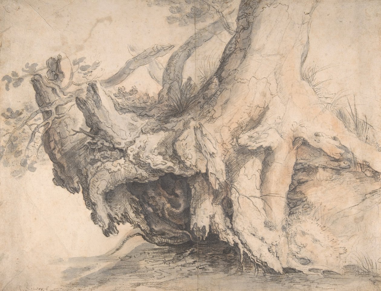 Estudio de un árbol, ca. 1606-7 de Roelandt Savery