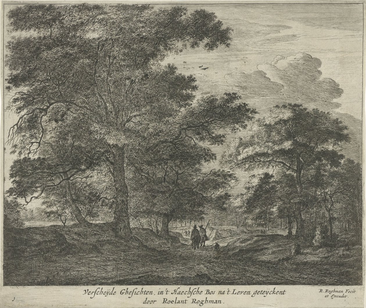 Camino forestal en Haagse Bos Verscheÿde Ghesichten in 