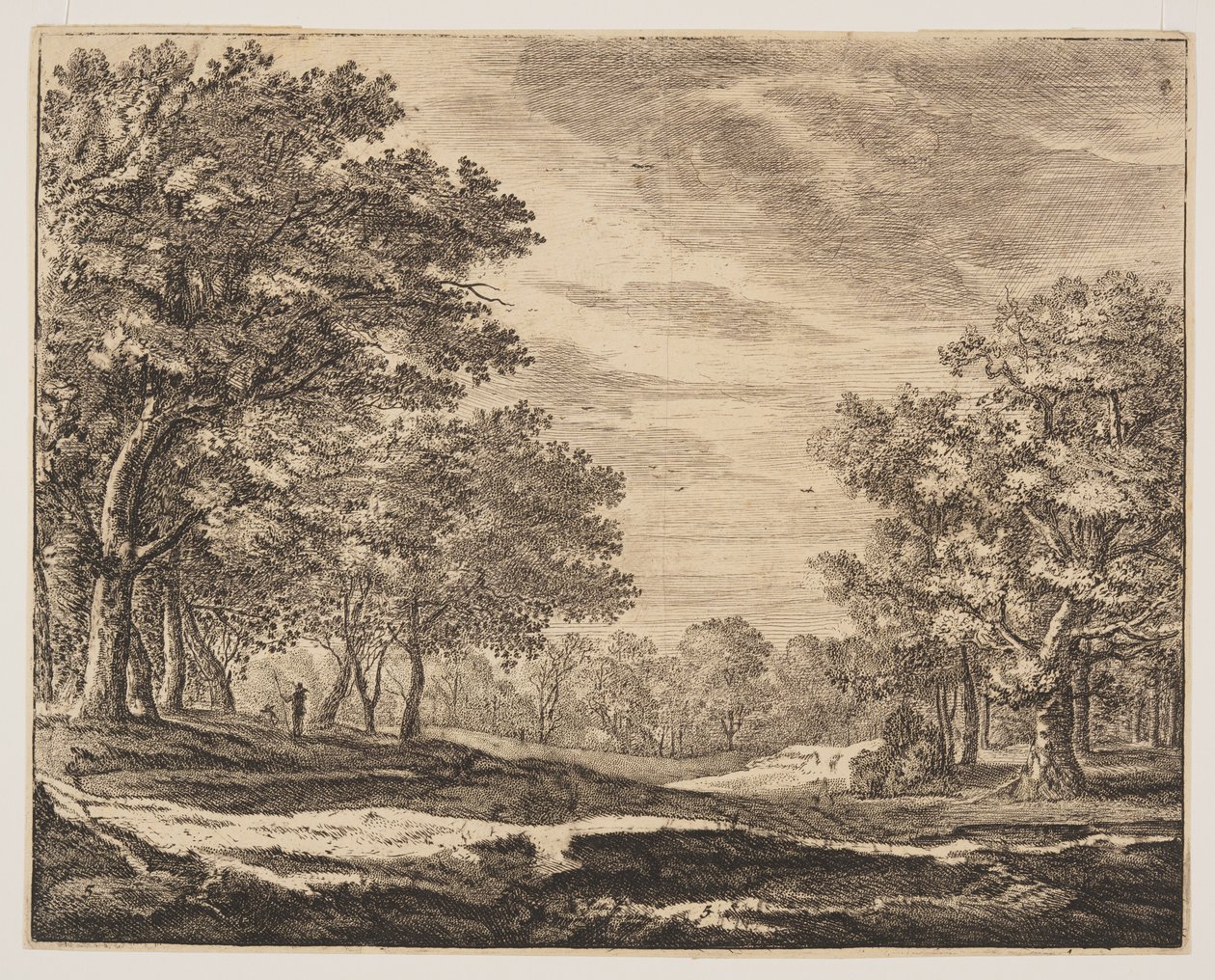 Lámina 5, de Seis vistas en el bosque de La Haya de Roelant Roghman
