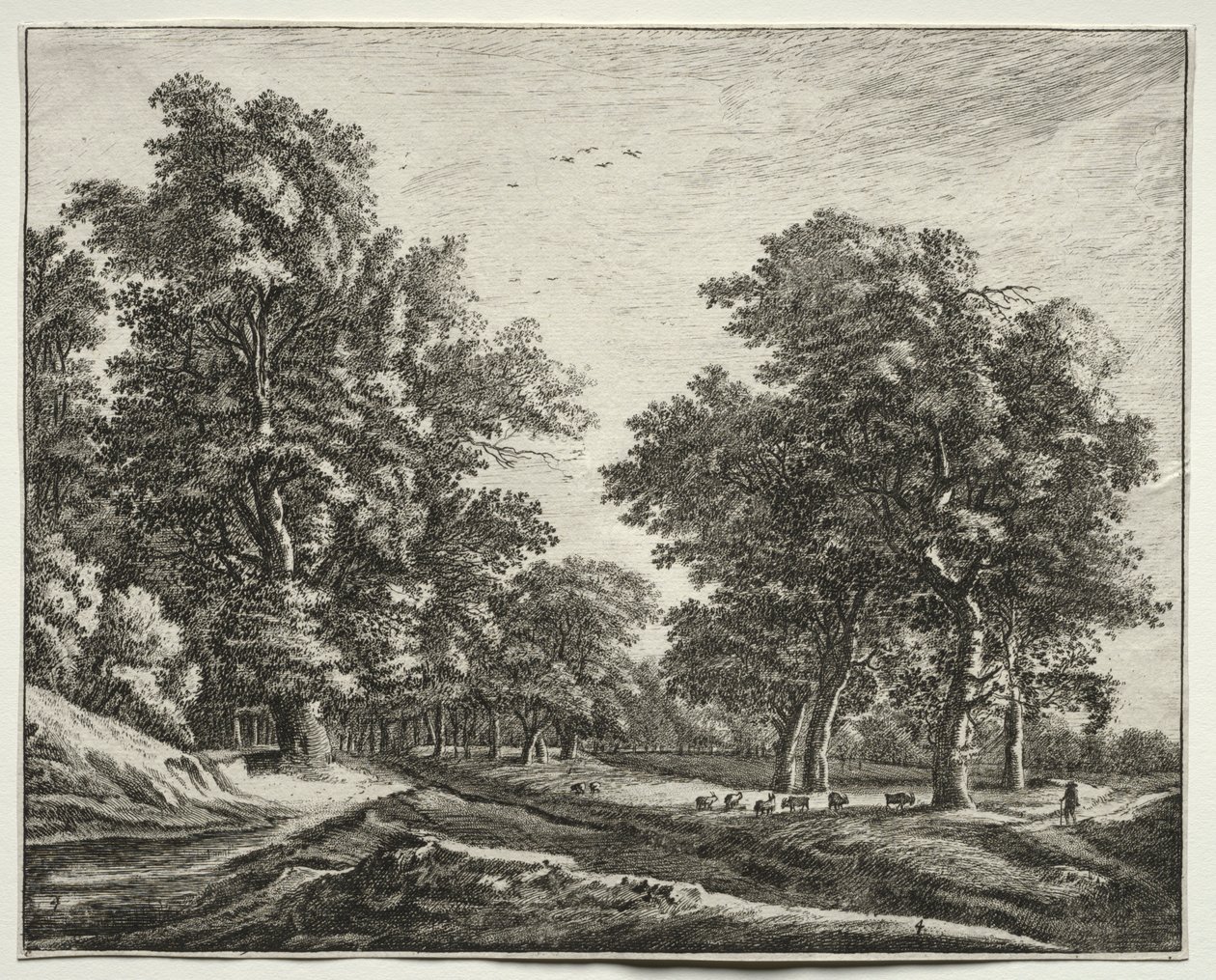 Seis vistas en el bosque de La Haya: cabras bajo los árboles de Roelant Roghman