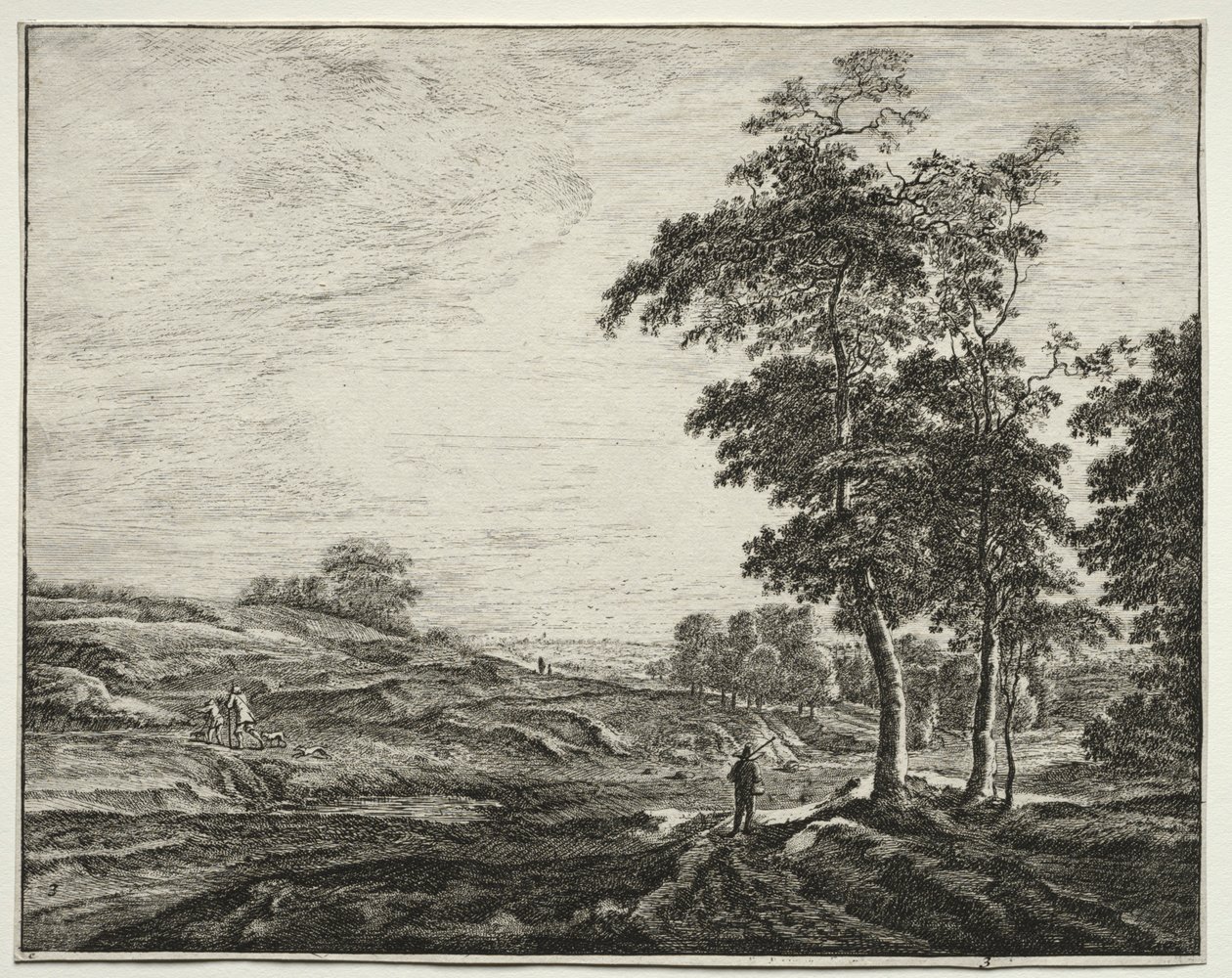 Seis vistas en el bosque de La Haya: Campesino visto desde atrás de Roelant Roghman