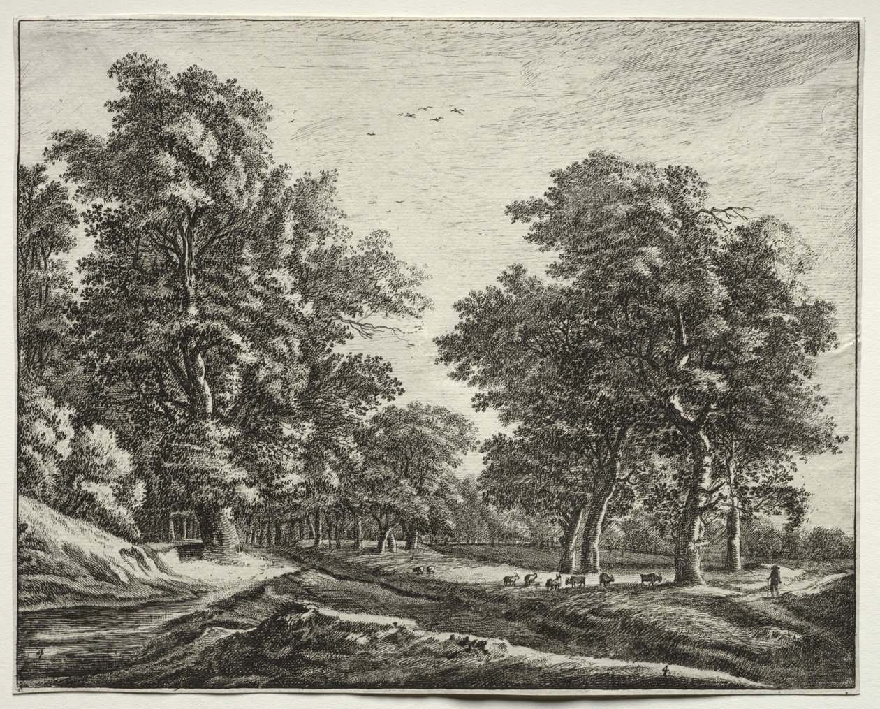 Seis vistas en el Bosque de La Haya: Placa 4, Cabras Bajo los Árboles de Roelant Roghman