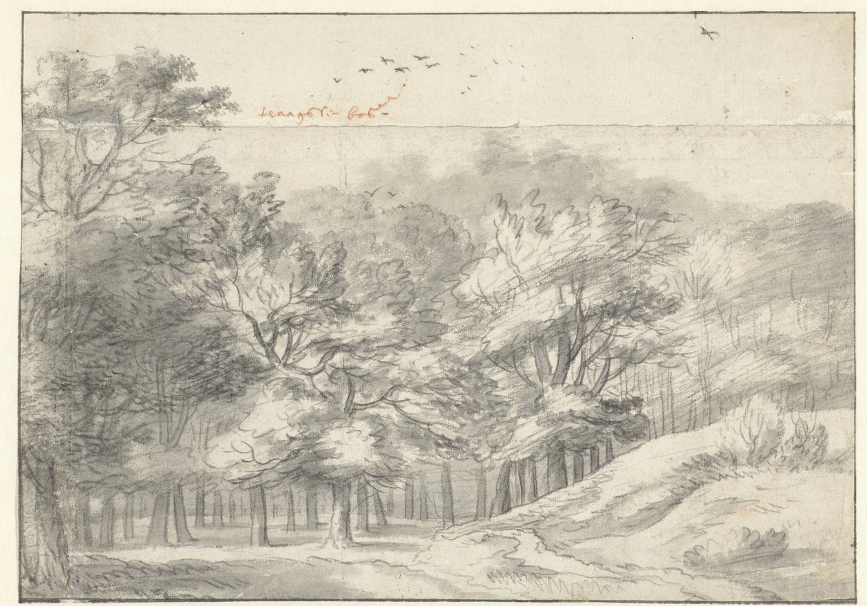 Ver en el Haagse Bos de Roelant Roghman