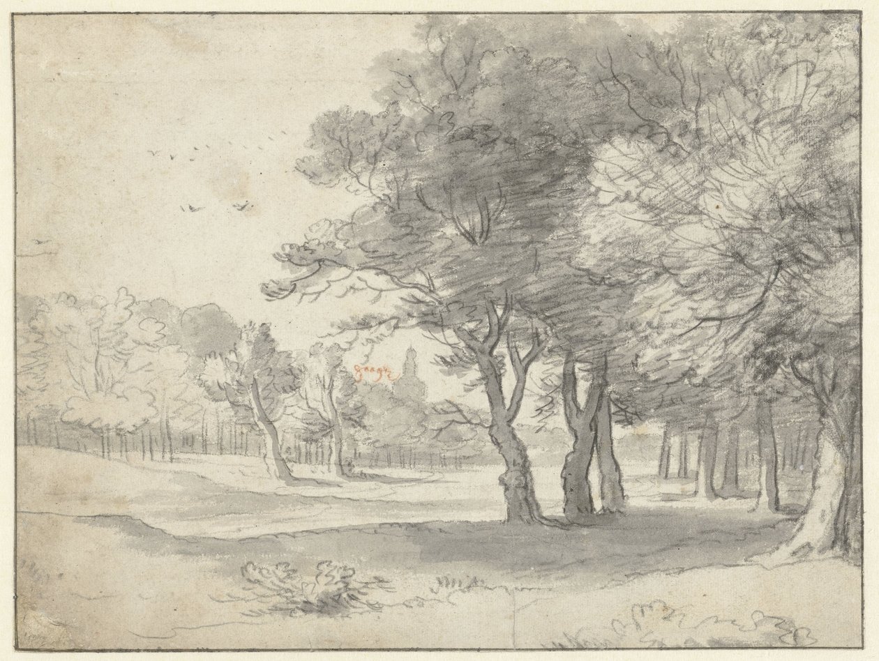 Ver en Haagse Bos, con Grote Kerk, La Haya, en la distancia de Roelant Roghman
