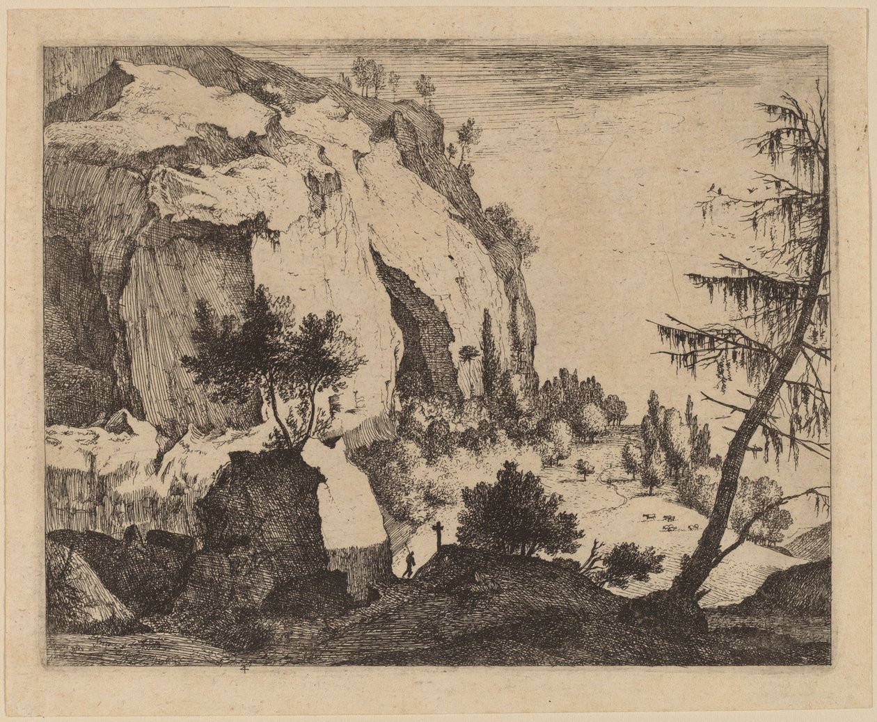 Paisaje rocoso con abeto: lámina 4 de Roelant Roghman and Melchior Küsel