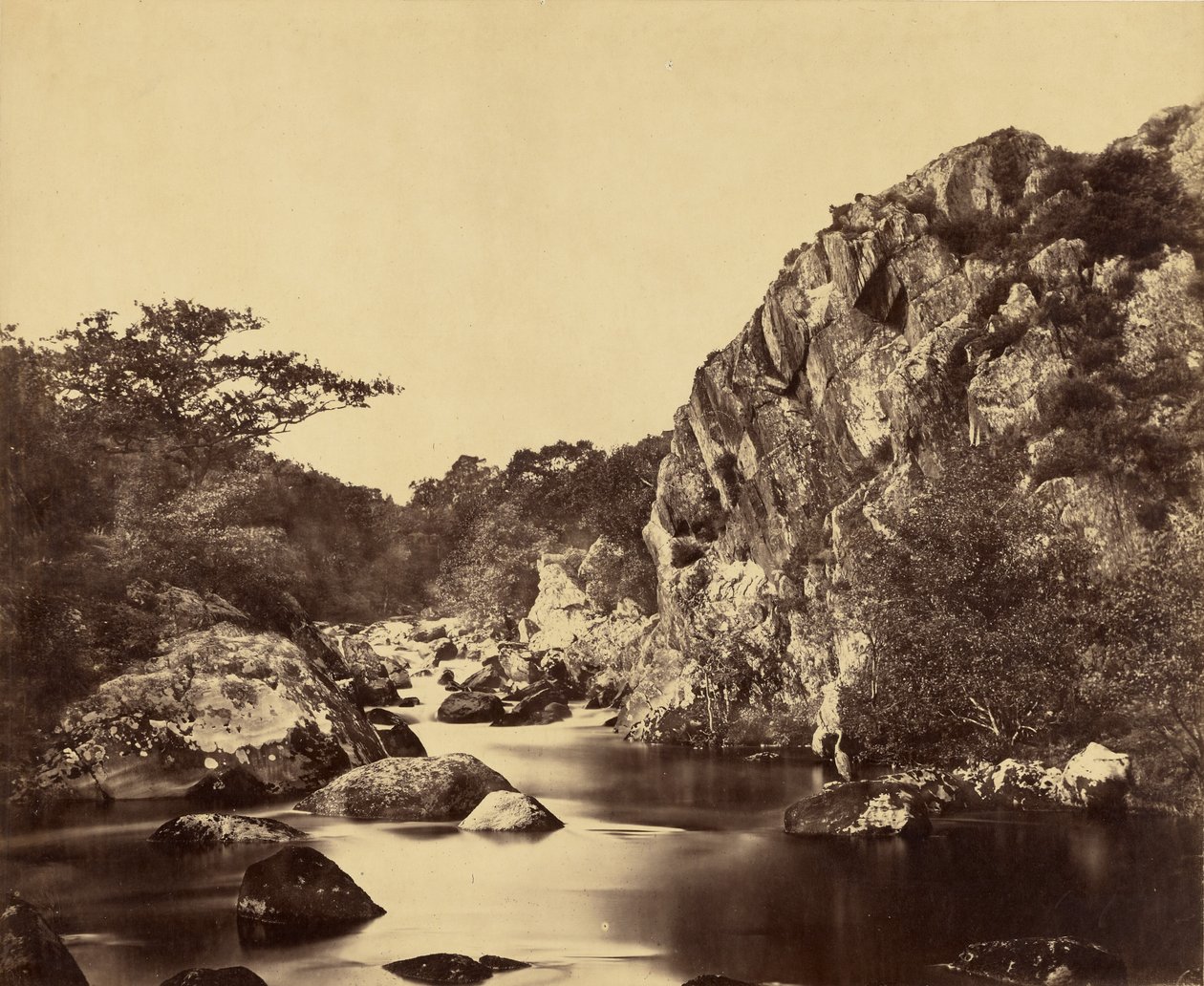 Estanque de garzas en el Lledr de Roger Fenton