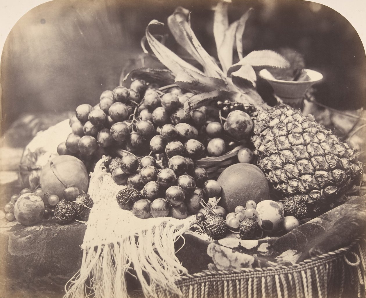 Naturaleza Muerta con Frutas, 1860 de Roger Fenton