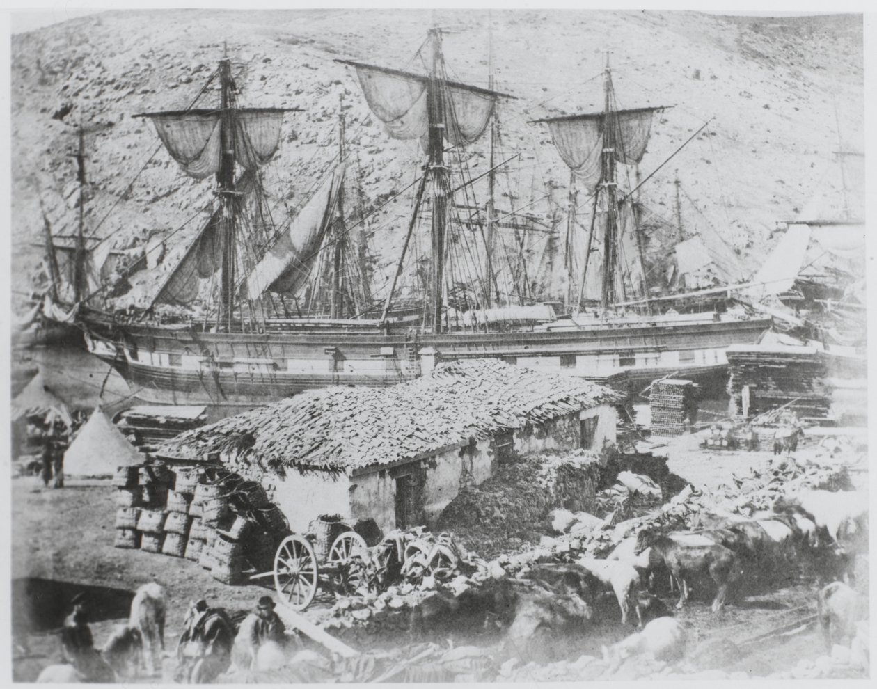 El muelle de ganado en el puerto de Balaklava de Roger Fenton