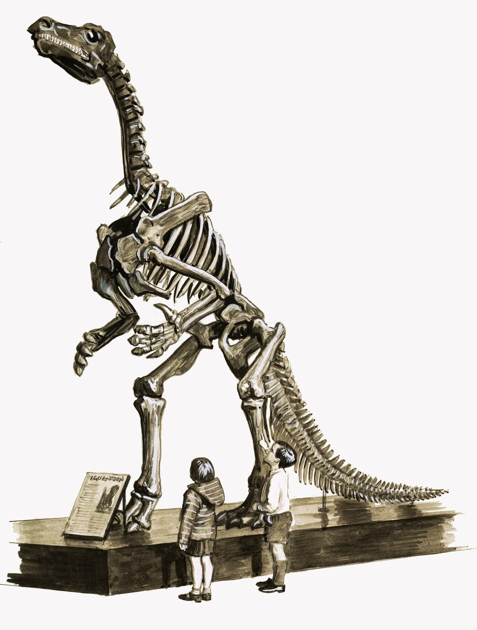 En tiempos de los dinosaurios: Un misterio de cien millones de años de Roger Payne