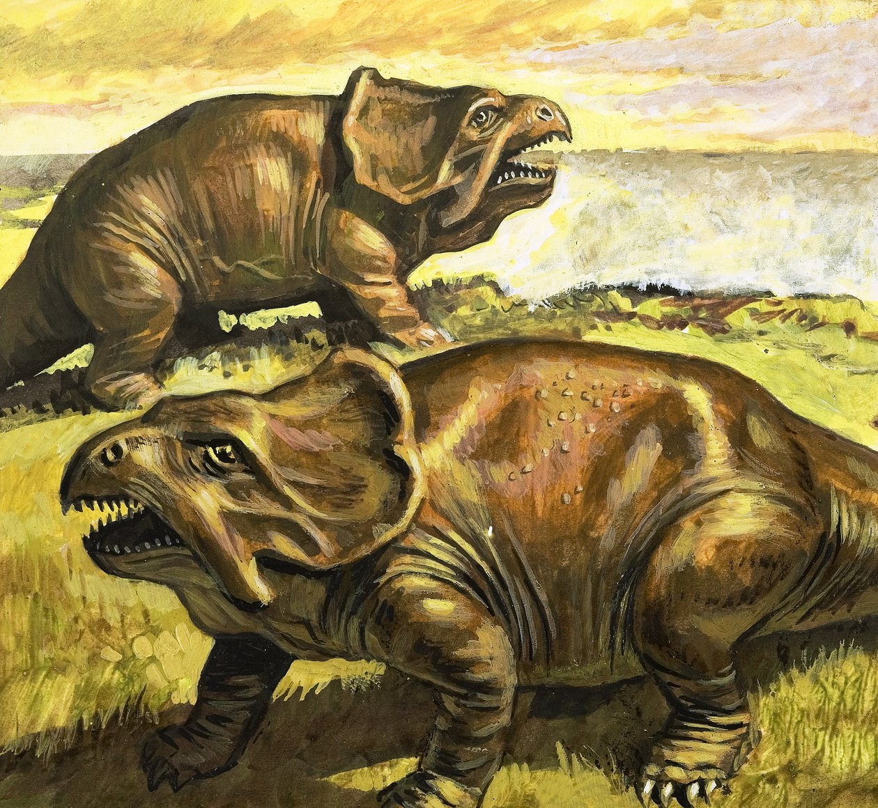 Protoceratops, ilustración de "En tiempos de dinosaurios, descubrimientos en el desierto". de Roger Payne