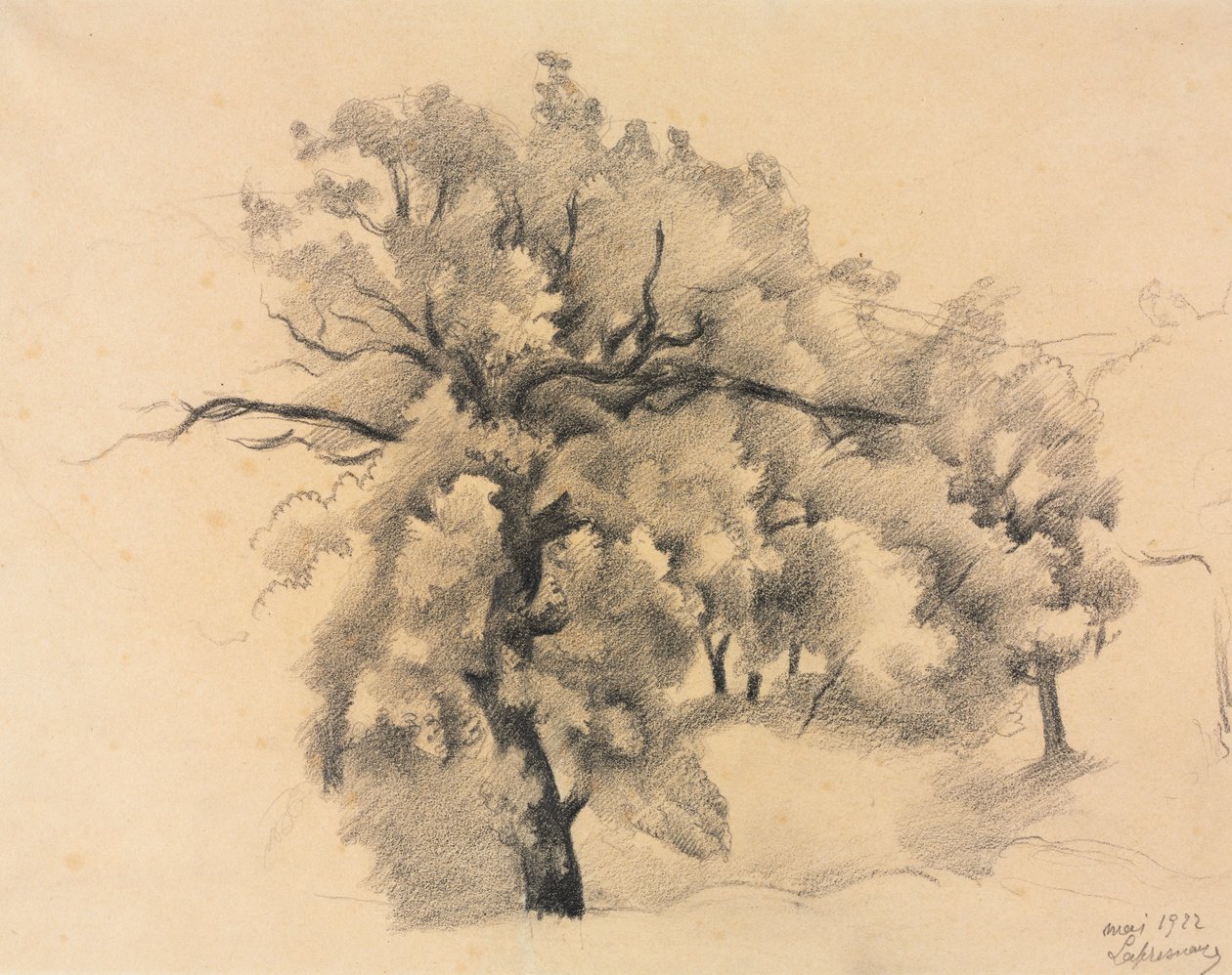 Estudio de Árboles de Roger de La Fresnaye