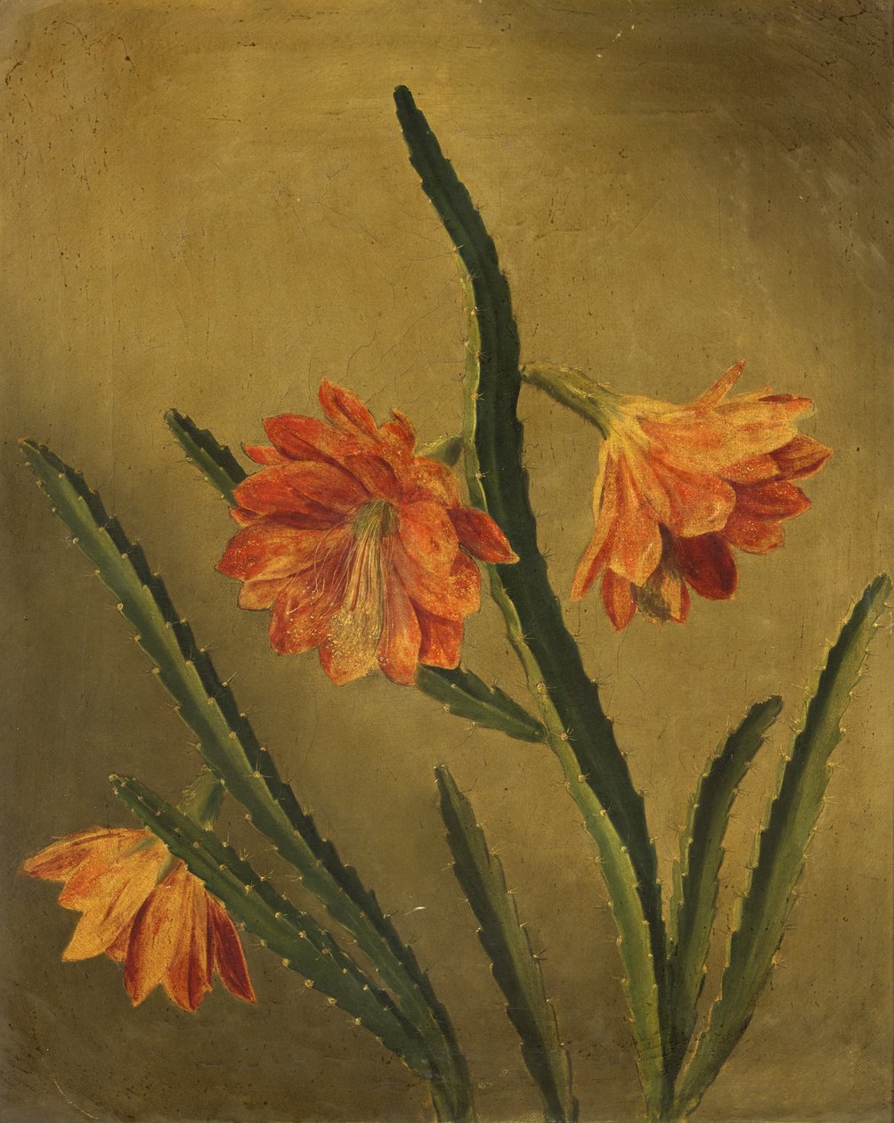 Estudio de flores de Rolinda Sharples