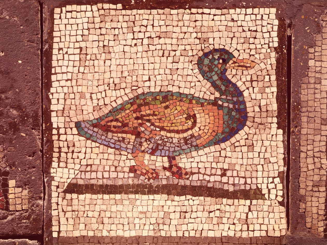 Un pato (detalle) de Roman