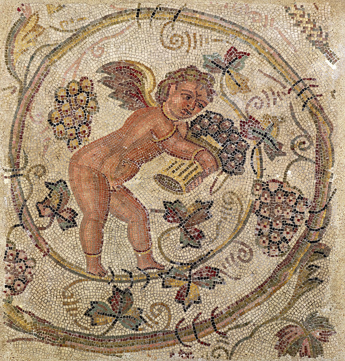 Un cupido recogiendo uvas, fragmento de pavimento de Cartago, Túnez de Roman
