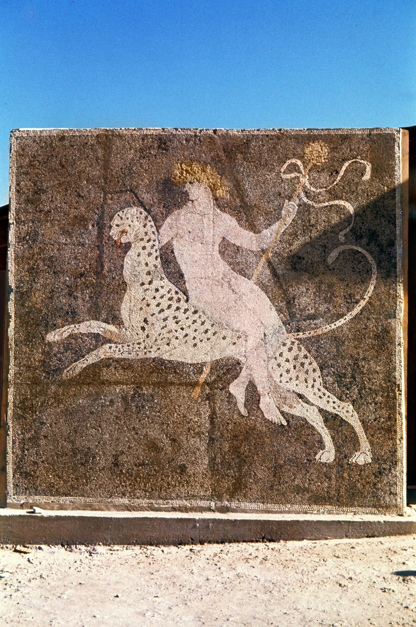 Baco montando un leopardo, siglo I-II d.C. de Roman