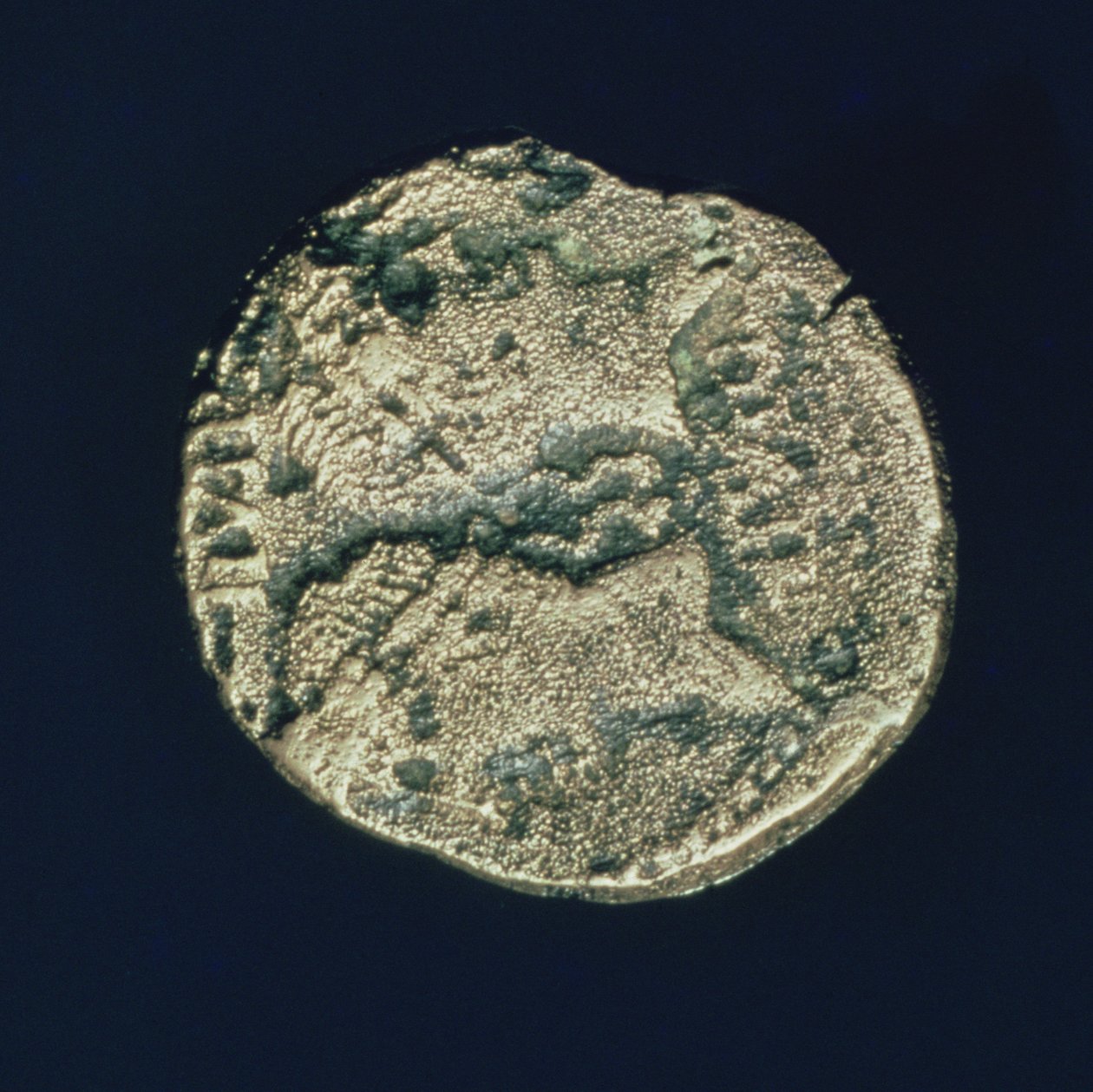 Moneda con las Cabezas de Julio César (101-44 a.C.) y Augusto (63-14 a.C.) de Roman