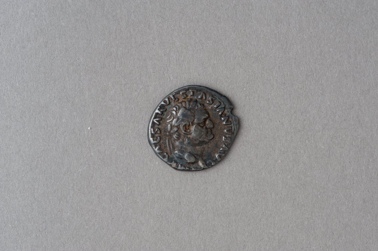 Denario de Vespasiano (plata) de Roman