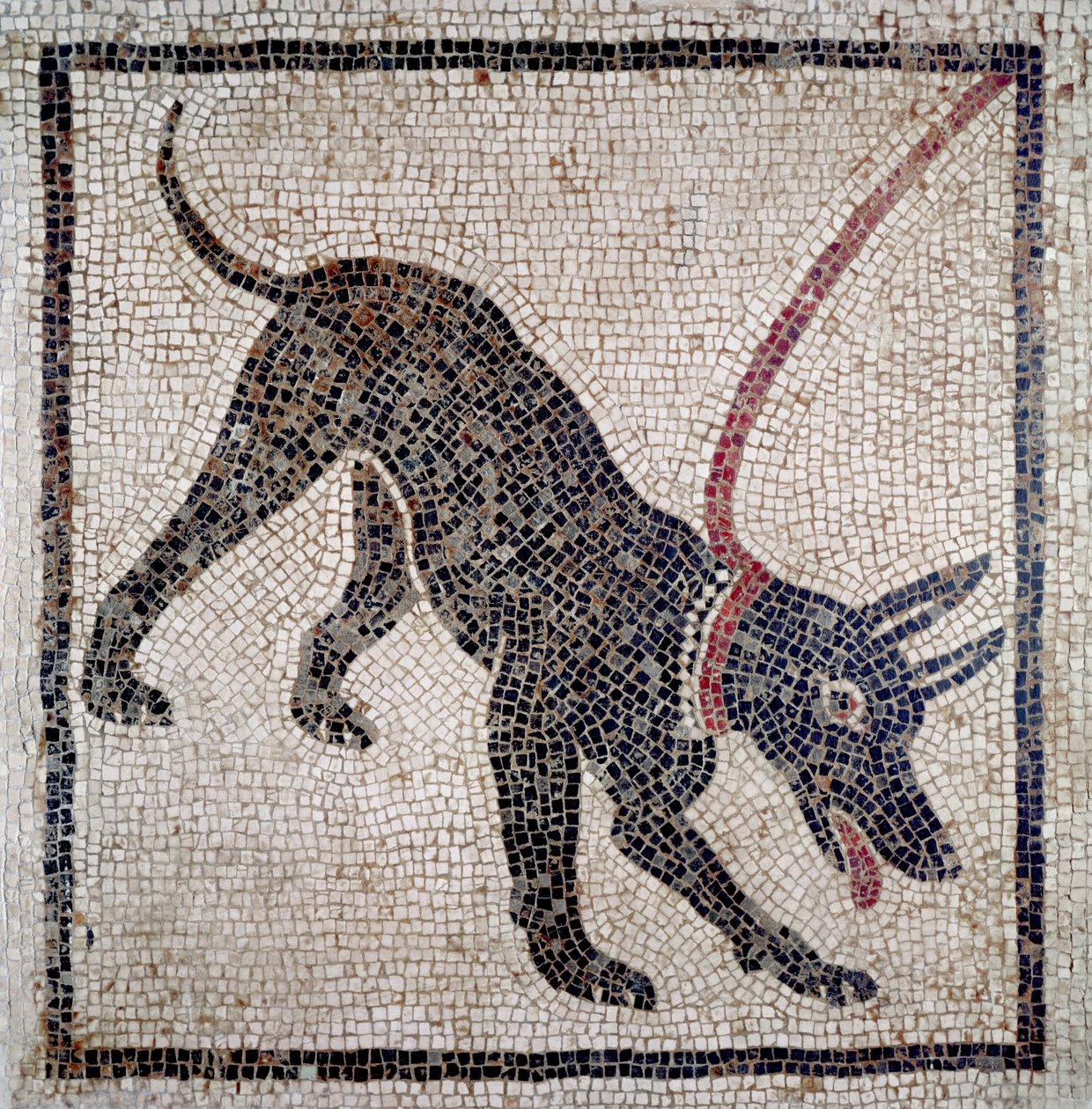 Perro con correa, de Pompeya de Roman