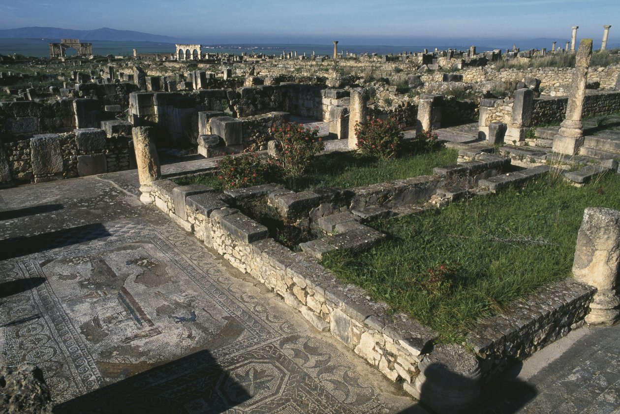 Vista general de Roman