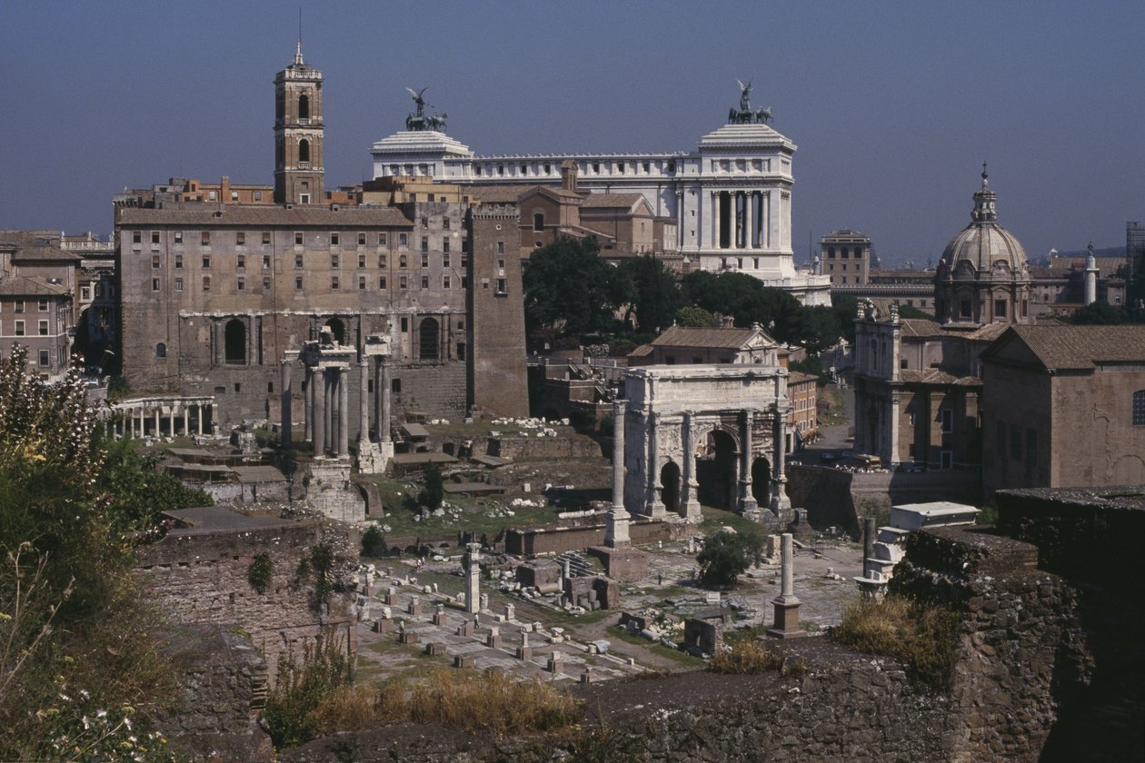 Vista general del Foro de Roman