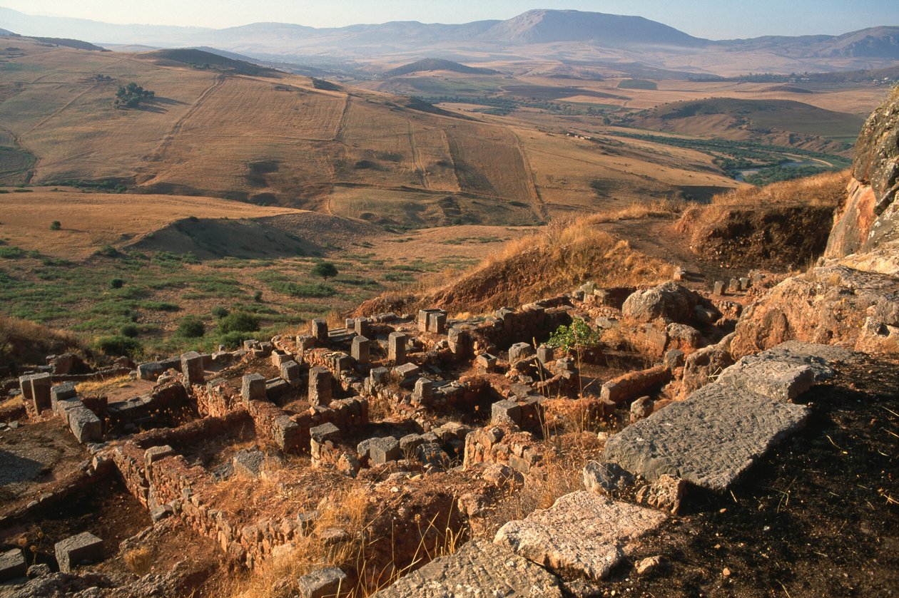 Vista general del sitio de Roman