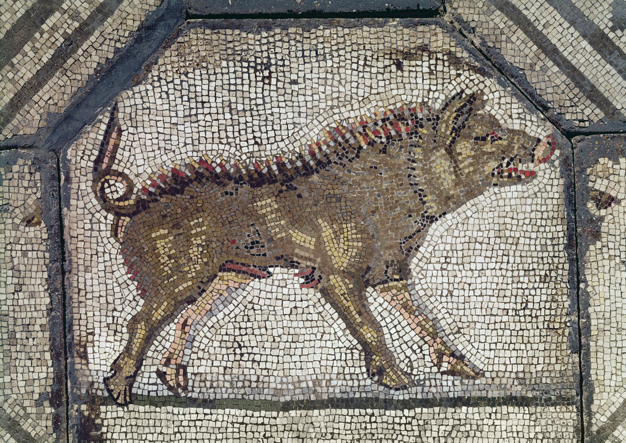 Orfeo encantando a los animales (detalle de un jabalí) de Roman