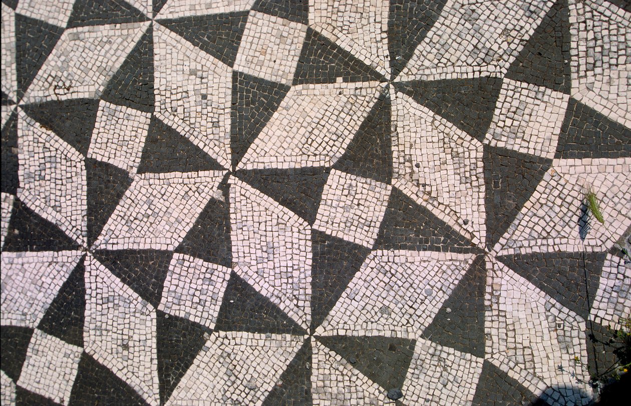 Piso con patrones (mosaico) de Roman