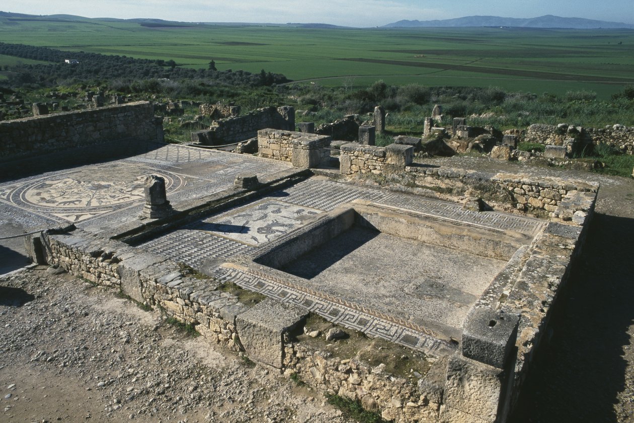 Pavimento de una casa patricia de Roman