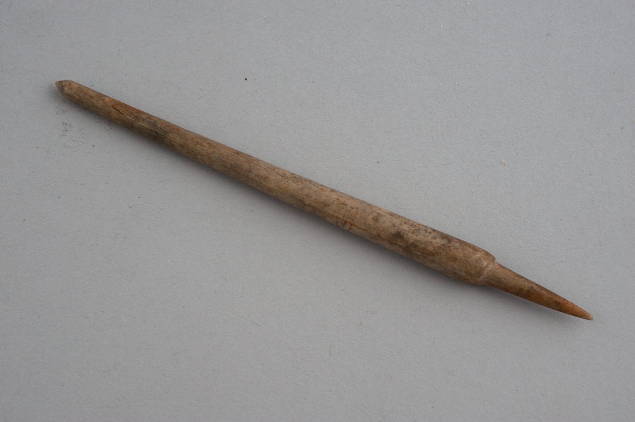 Pluma (hueso) de Roman