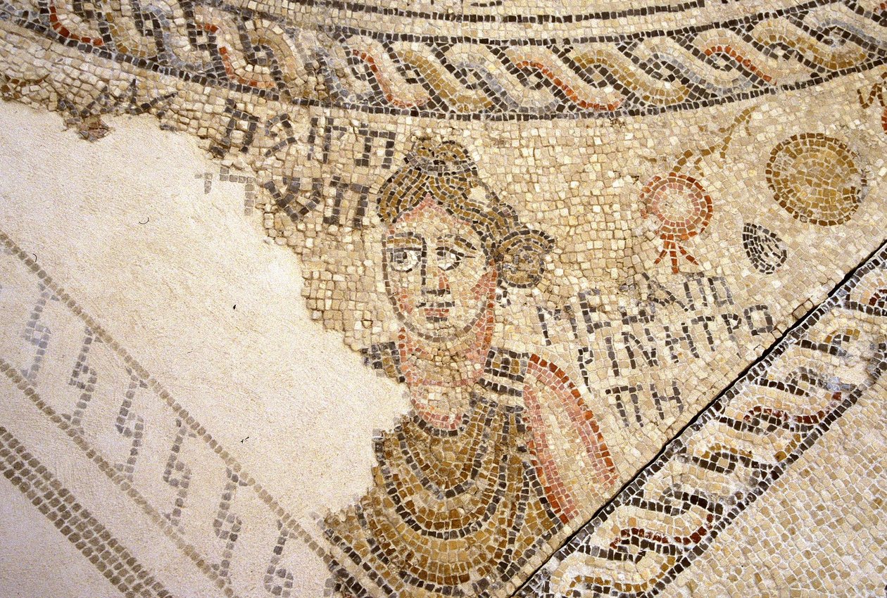 Mosaico de Séforis, Tzippori de Roman