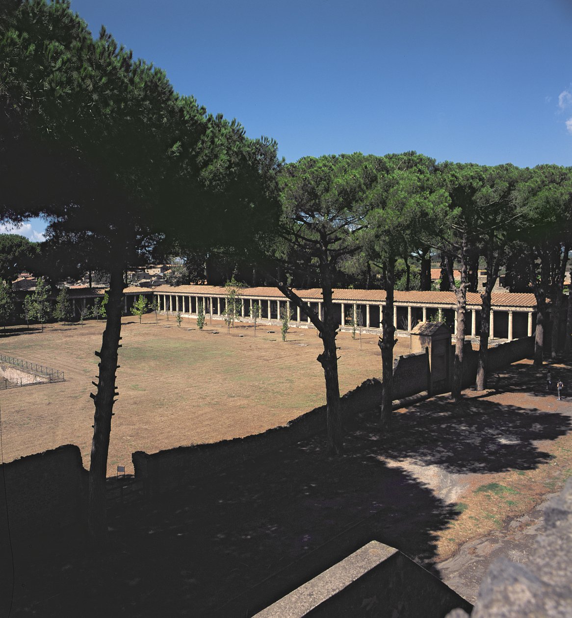 La Gran Palestra de Roman