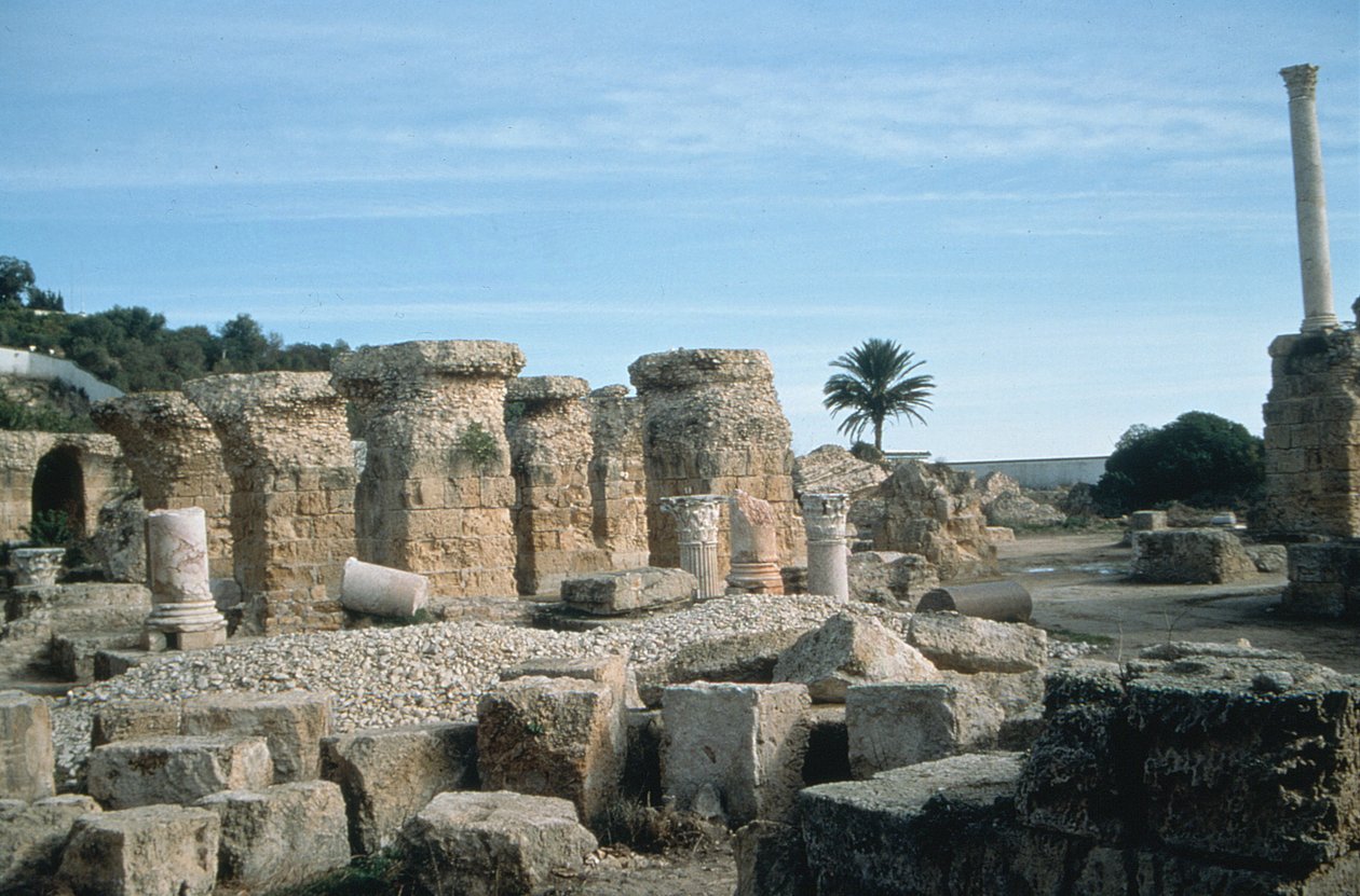 Vista de ruinas de Roman