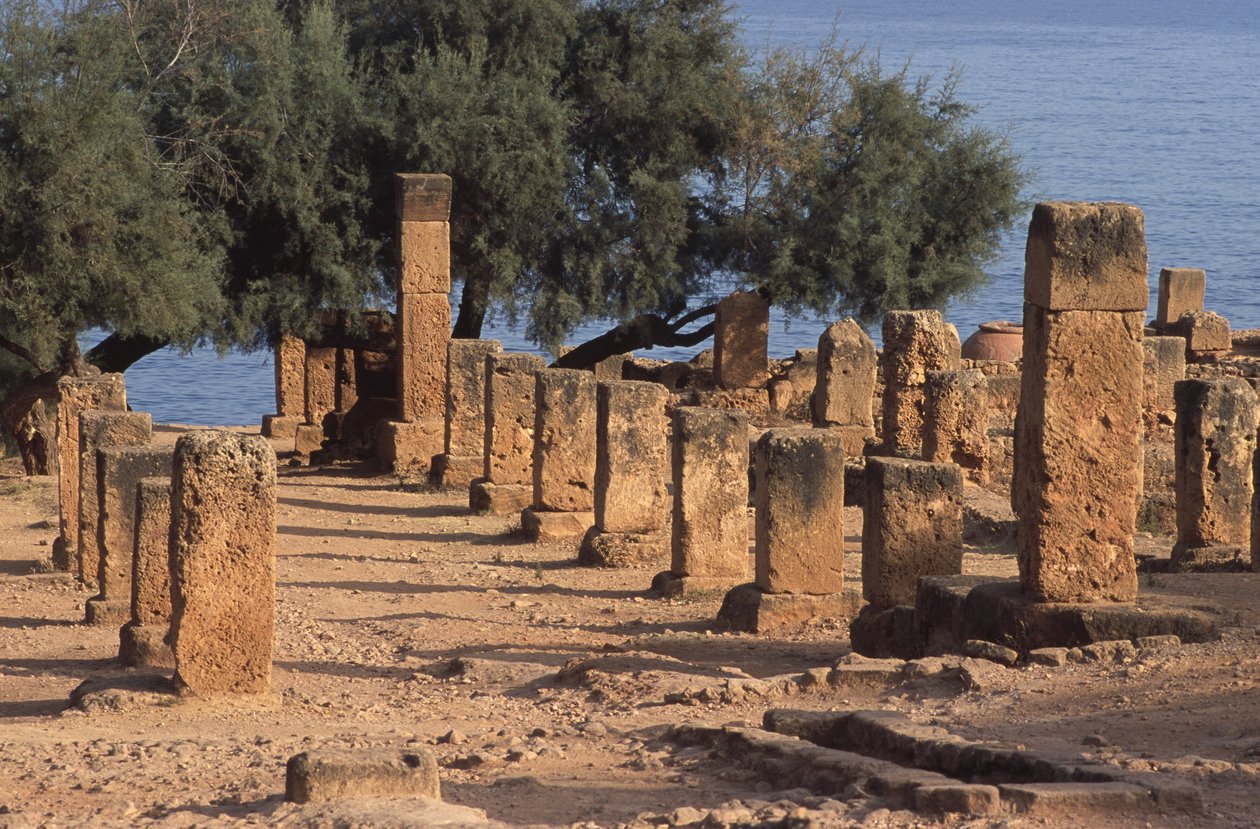 Vista del Cardo de Roman