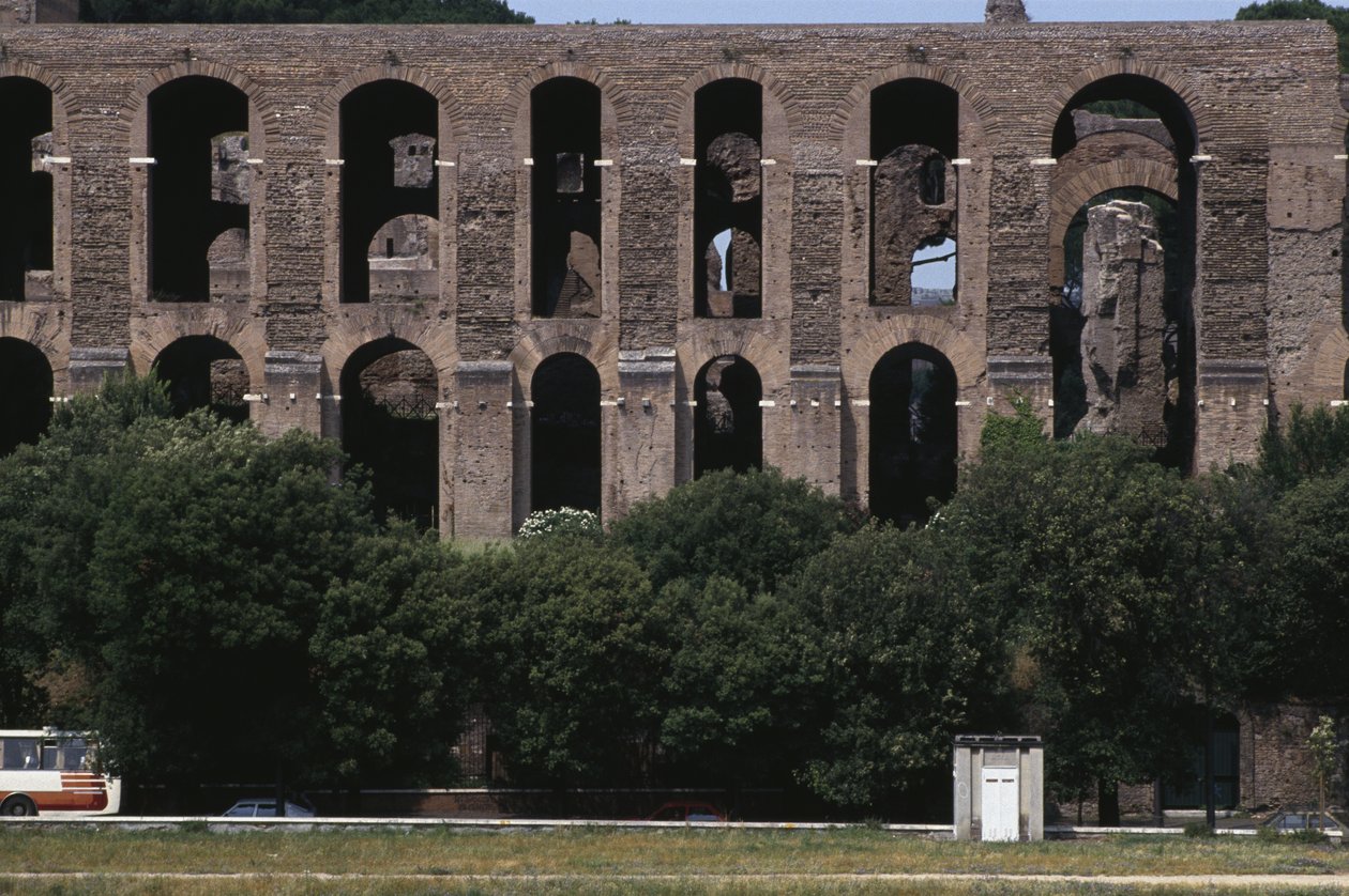 Vista del Palatino desde el Circo Máximo de Roman