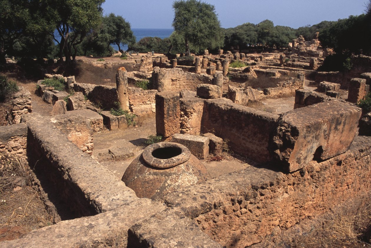 Vista del sitio de Roman